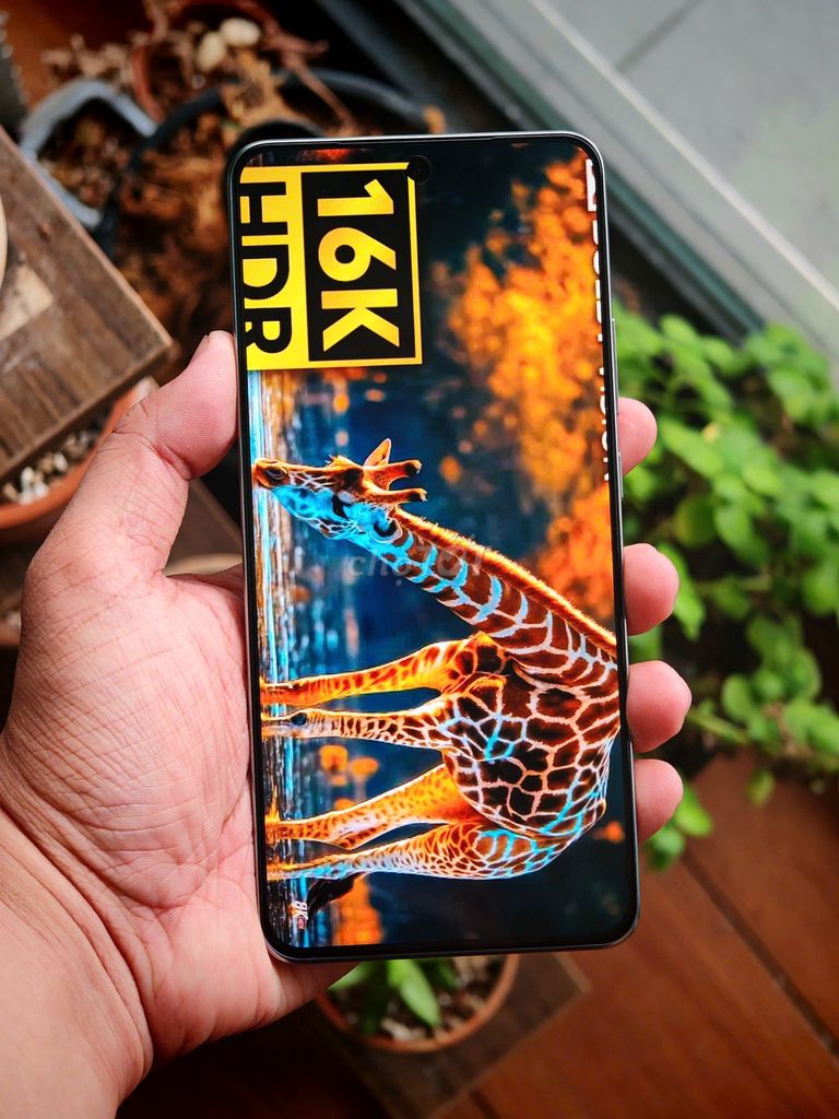 VIVO iQOO Neo10 New Fullbox - Góp Online. Mua bán Điện thoại tại Thành phố Thủ Dầu Một Bình Dương được đăng bởi Vio Store Thủ Dầu Một hình 3