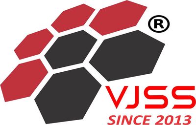 VJSS FOOTBALL logo