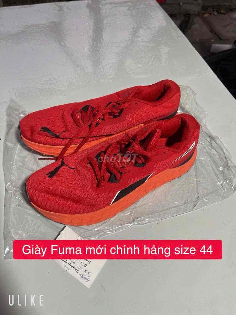 Giày thể thao Puma Đỏ size 44. Mua bán Giày dép tại Quận 12 Tp Hồ Chí Minh được đăng bởi HT 86 hình 1