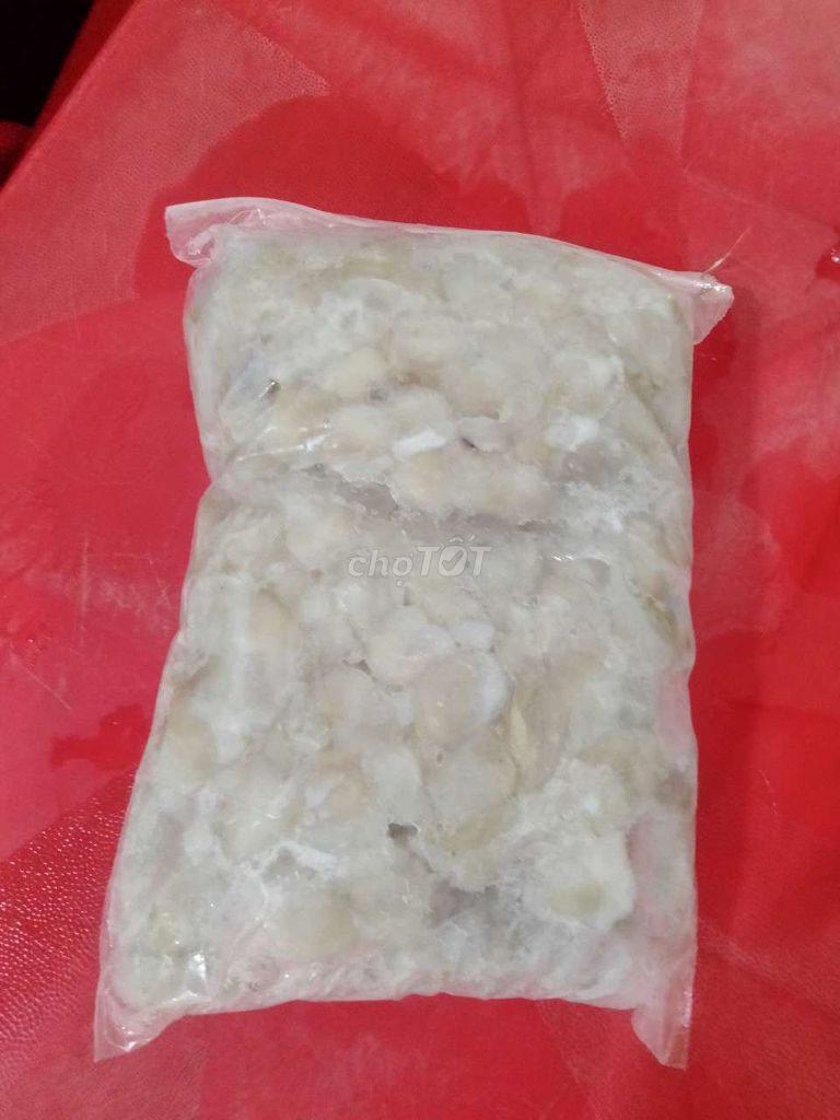 Răng mực làm sạch 120-140 răng/kg