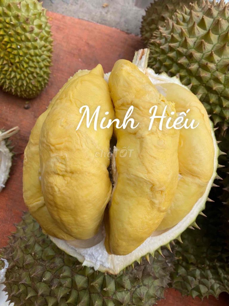 sầu riêng hạt lép Cái Mơn. Mua bán Đồ ăn, thực phẩm và các loại khác tại Quận Gò Vấp Tp Hồ Chí Minh được đăng bởi Minh Hiếu hình 1