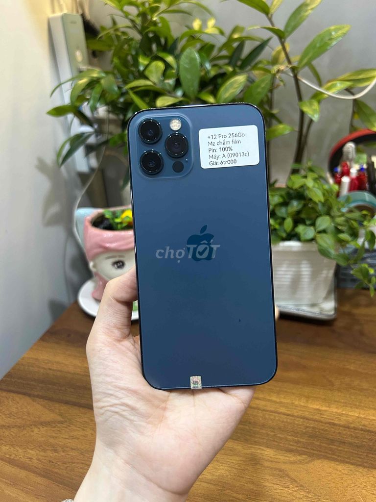 Apple iPhone 12 Pro 256GB xước phim đẹp zin full. Mua bán Điện thoại tại Huyện Hóc Môn Tp Hồ Chí Minh được đăng bởi SIRI STORE HCM hình 1