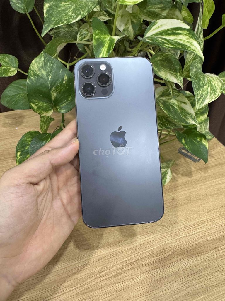 iPhone 12 Pro Max 128GB Xám Quốc tế CÓ COD - GÓP. Mua bán Điện thoại tại Quận Hoàng Mai Hà Nội được đăng bởi Gia Vinh hình 1