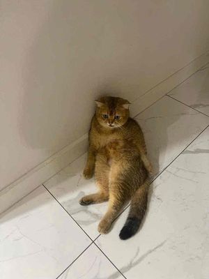 bé đực 4ký5