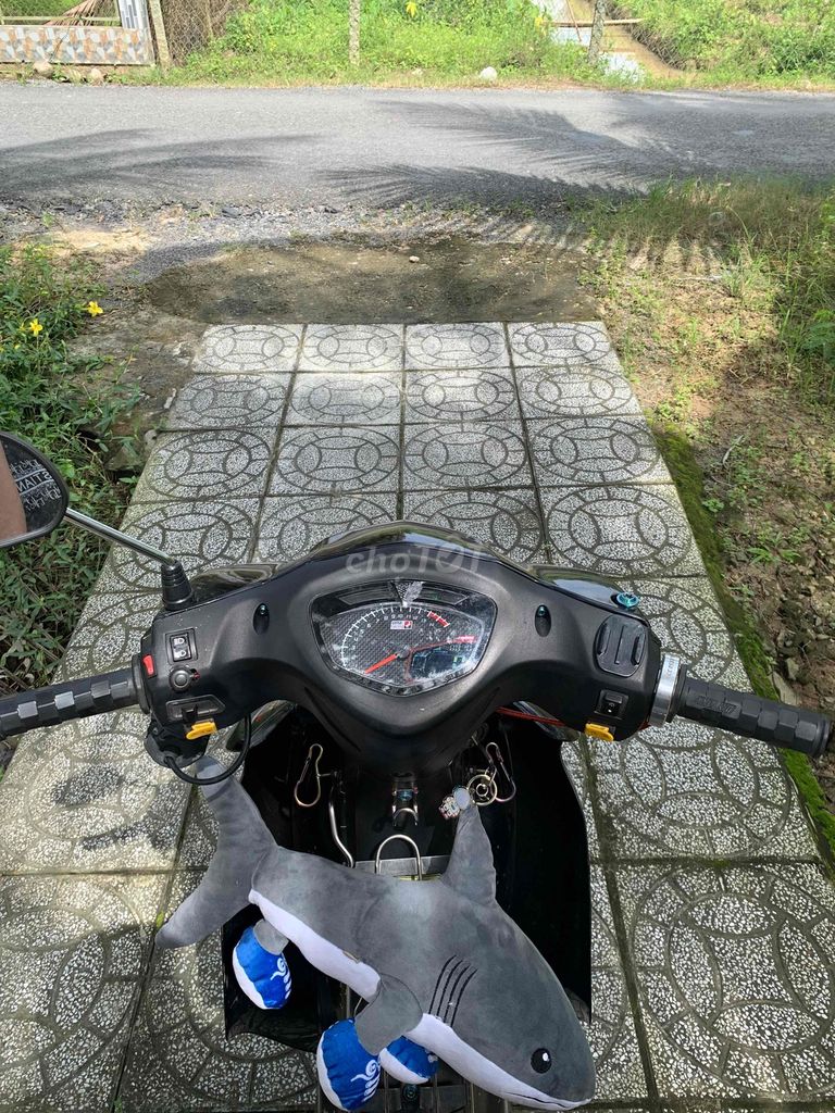 Elegant 50 dọn kiểng máy up nhẹ. Mua bán Xe máy tại Quận 8 Tp Hồ Chí Minh được đăng bởi Ken Con hình 3