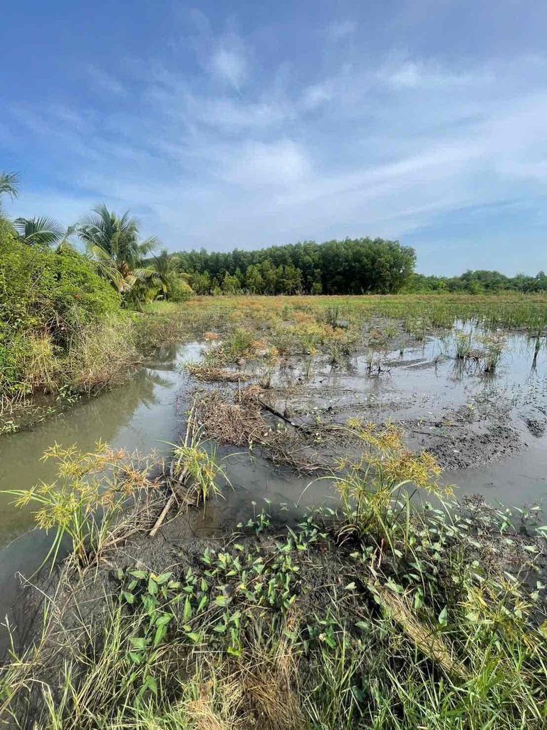 Đất Phú Hòa cần bán