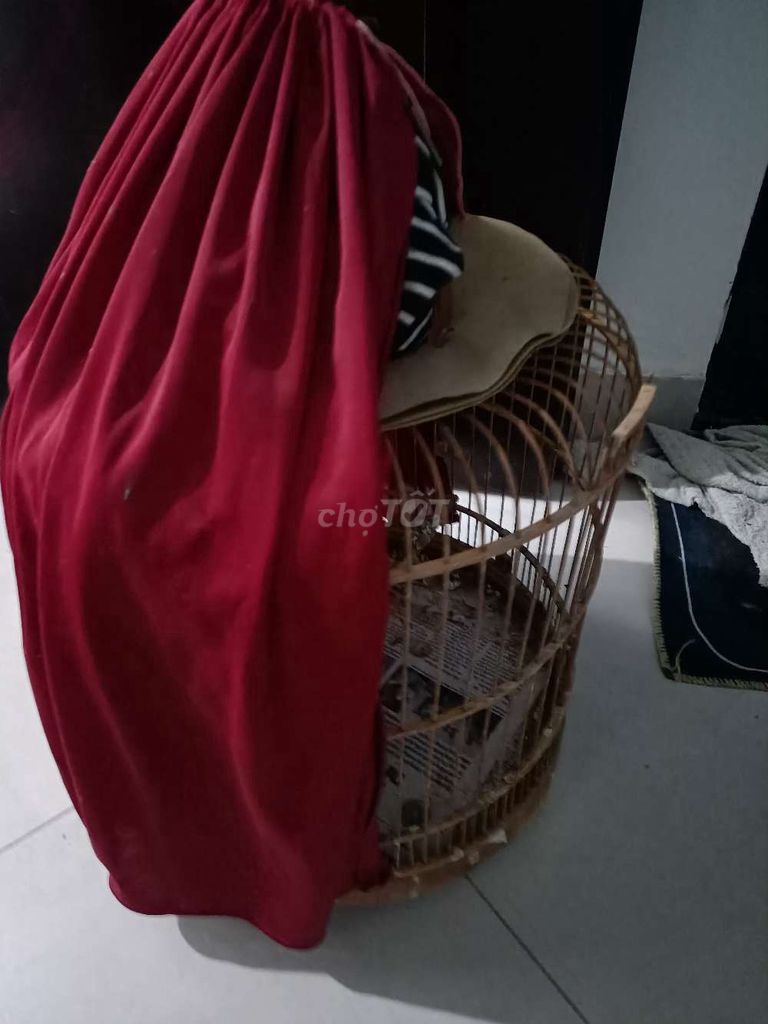 Lồng chim tre màu nâu. Mua bán Phụ kiện, Thức ăn, Dịch vụ tại Quận Thanh Xuân Hà Nội được đăng bởi Tuân hình 1