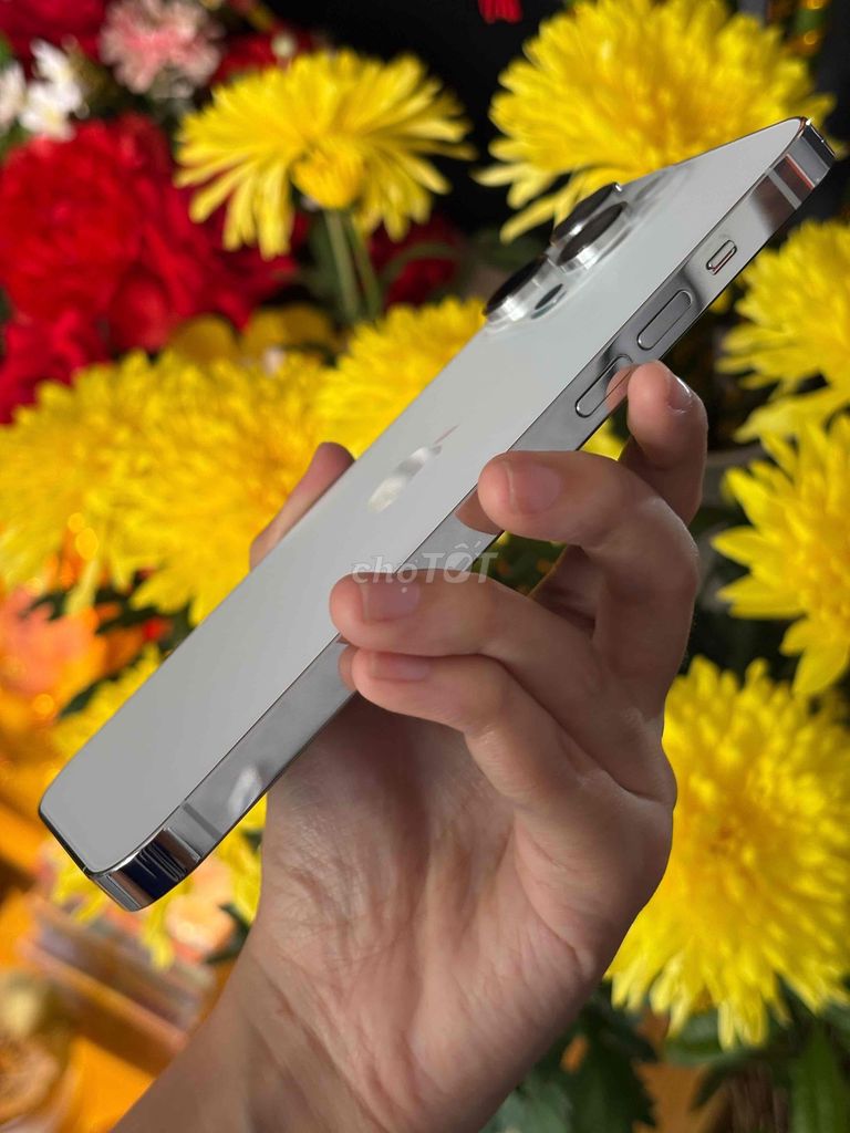 ip14prm trắng nguyên bản - zin all - hỗ trợ góp. Mua bán Điện thoại tại Quận Thanh Khê Đà Nẵng được đăng bởi BÔN APPLE 19 Bàu Hạc 3 hình 1