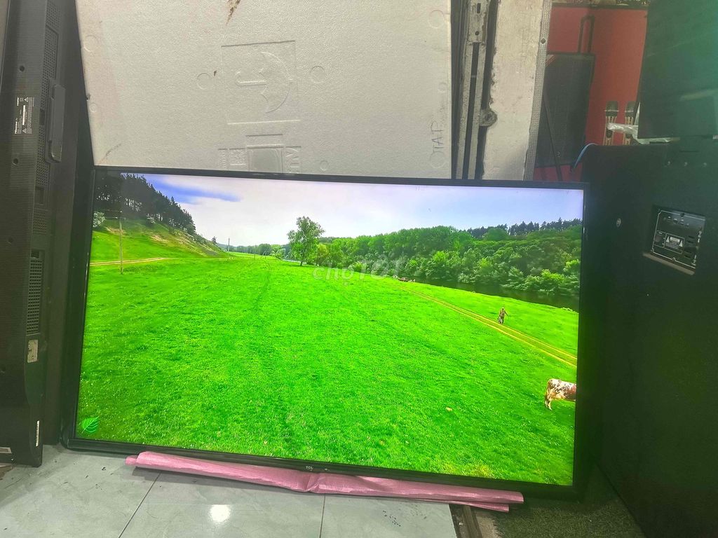 Tivi TCL P65 55 inch 4K. Mua bán Tivi, Âm thanh tại Huyện Hóc Môn Tp Hồ Chí Minh được đăng bởi ngoc hình 1