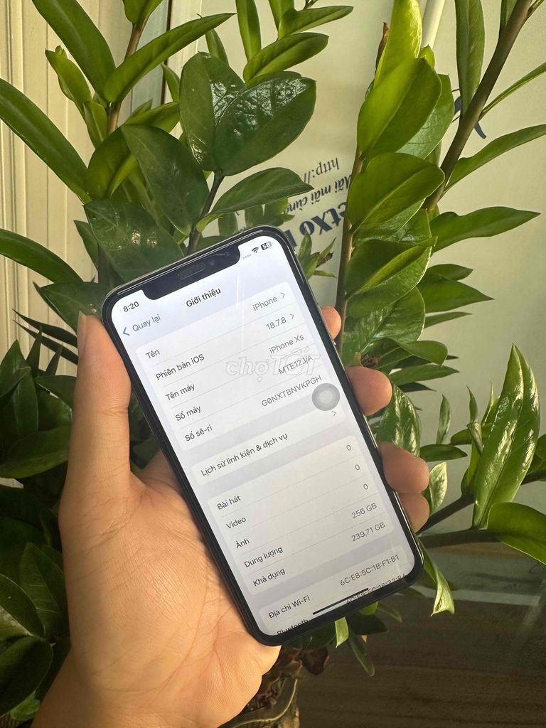 iPhone Xs 256GB Bạc. Mua bán Điện thoại tại Thành phố Bắc Ninh Bắc Ninh được đăng bởi Phan Công Quý hình 1