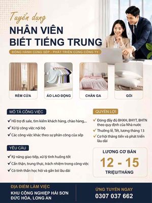 cty thinh tinh logo