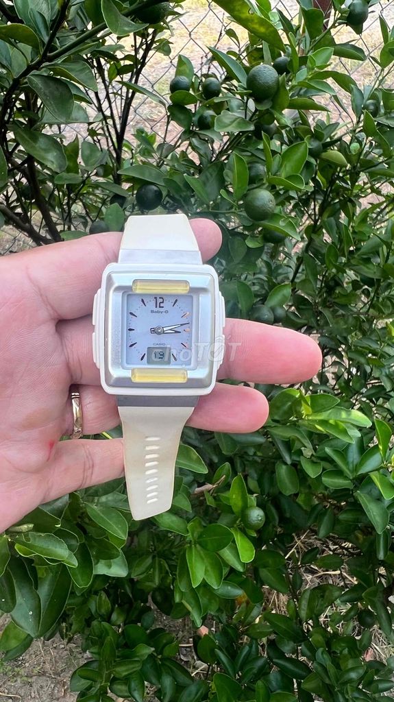 Casio BabyG Năng lượng