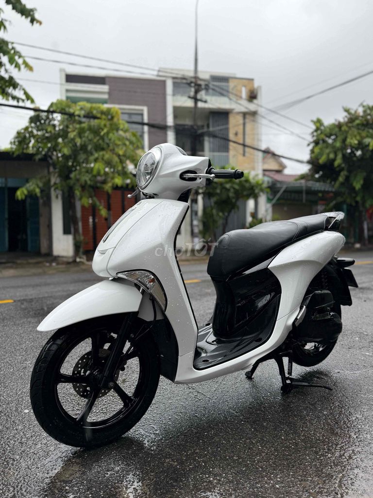 Janus 2017 B số 43 Góp trả trước 3tr5. Mua bán Xe máy tại Quận Liên Chiểu Đà Nẵng được đăng bởi Hòa Xe Máy Cũ hình 1