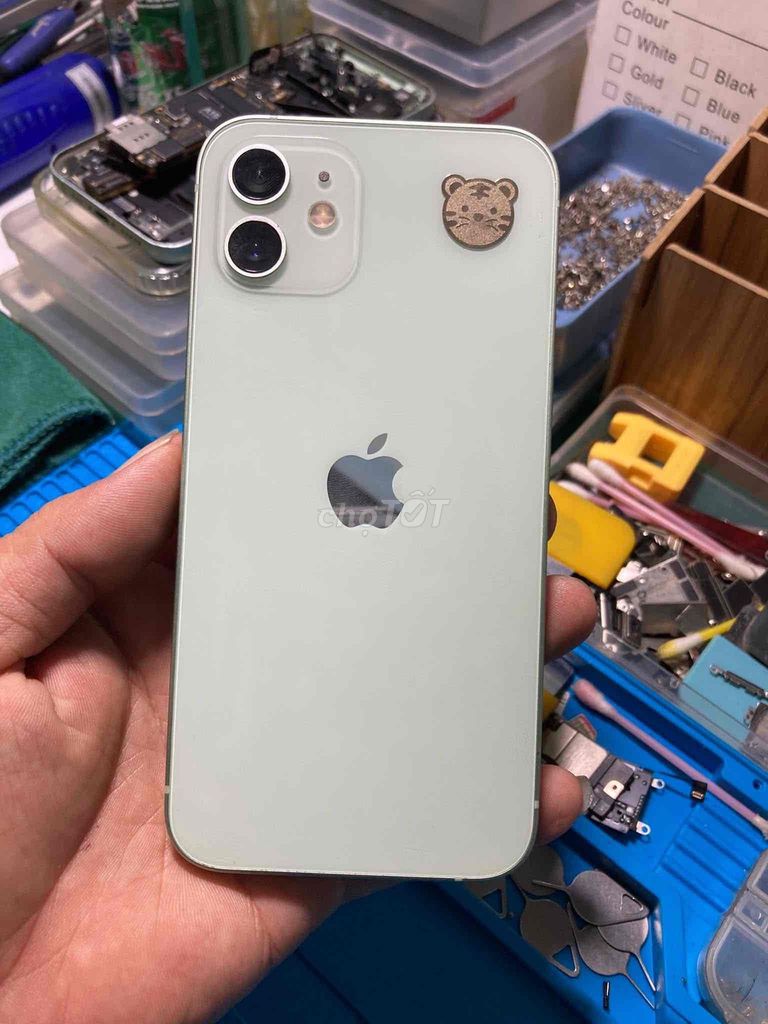 Apple iPhone 12 64GB Xanh lá. Mua bán Điện thoại tại Thành phố Dĩ An Bình Dương được đăng bởi anh ngọc anh hình 1