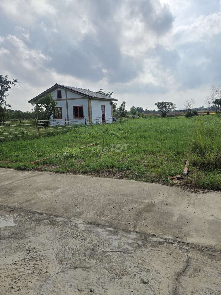 Đất view sông tiện xây nhà vườn biệt thự nghĩ dưỡng. Mua bán đất tại Huyện Cần Đước Long An được đăng bởi nguyen van khanh hình 3