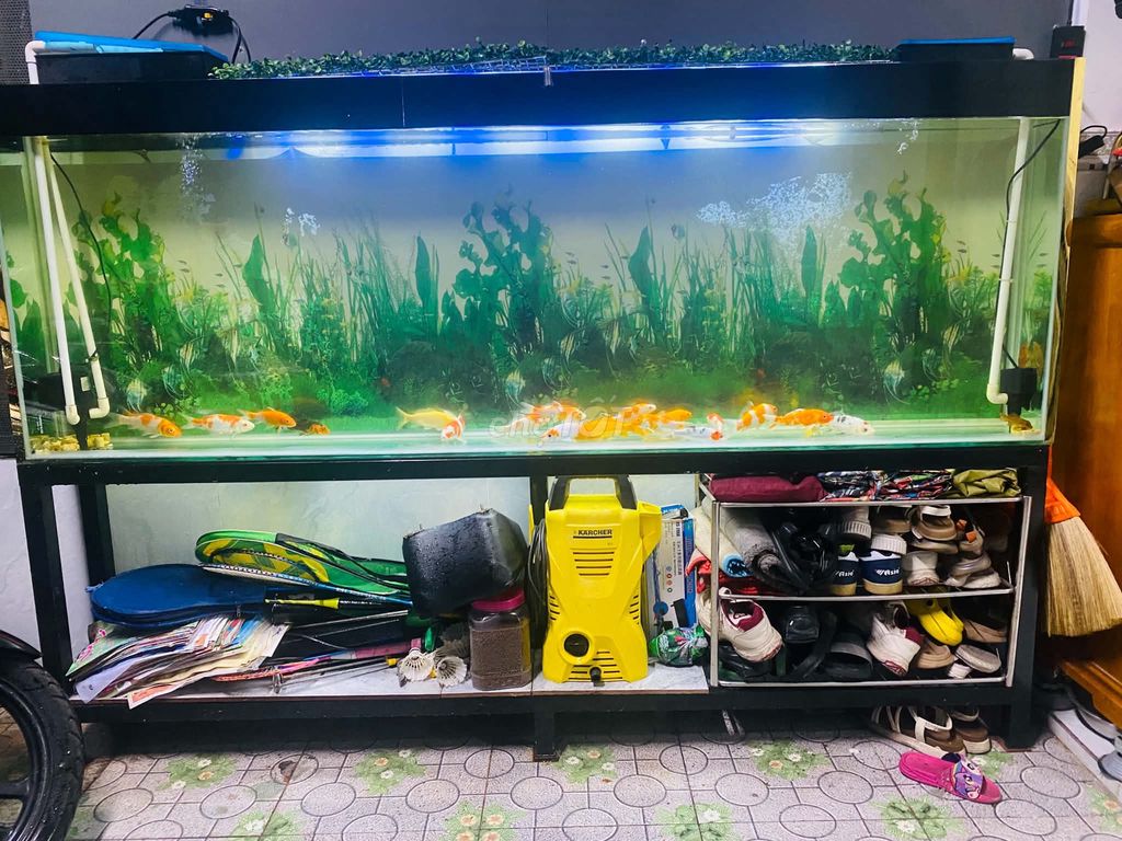 Hồ cá 2m x 25cm x 70cm kính 10 ly. Mua bán Phụ kiện, Thức ăn, Dịch vụ tại Quận 12 Tp Hồ Chí Minh được đăng bởi PTT hình 1