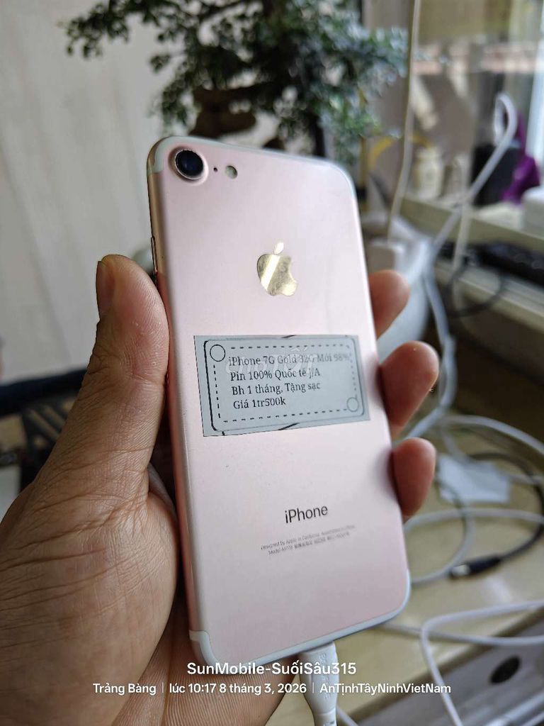 iPhone 7G Rose 32G Pin100 Zin All. Mua bán Điện thoại tại Huyện Trảng Bàng Tây Ninh được đăng bởi Sun Mobile Shop Điện Thoại Trảng Bàng Tây Ninh 01 hình 1