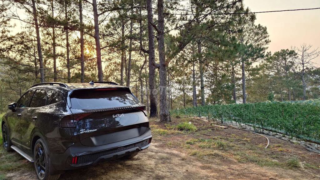 Kia Sportage 1.6 Turbo X-line 2022 черный