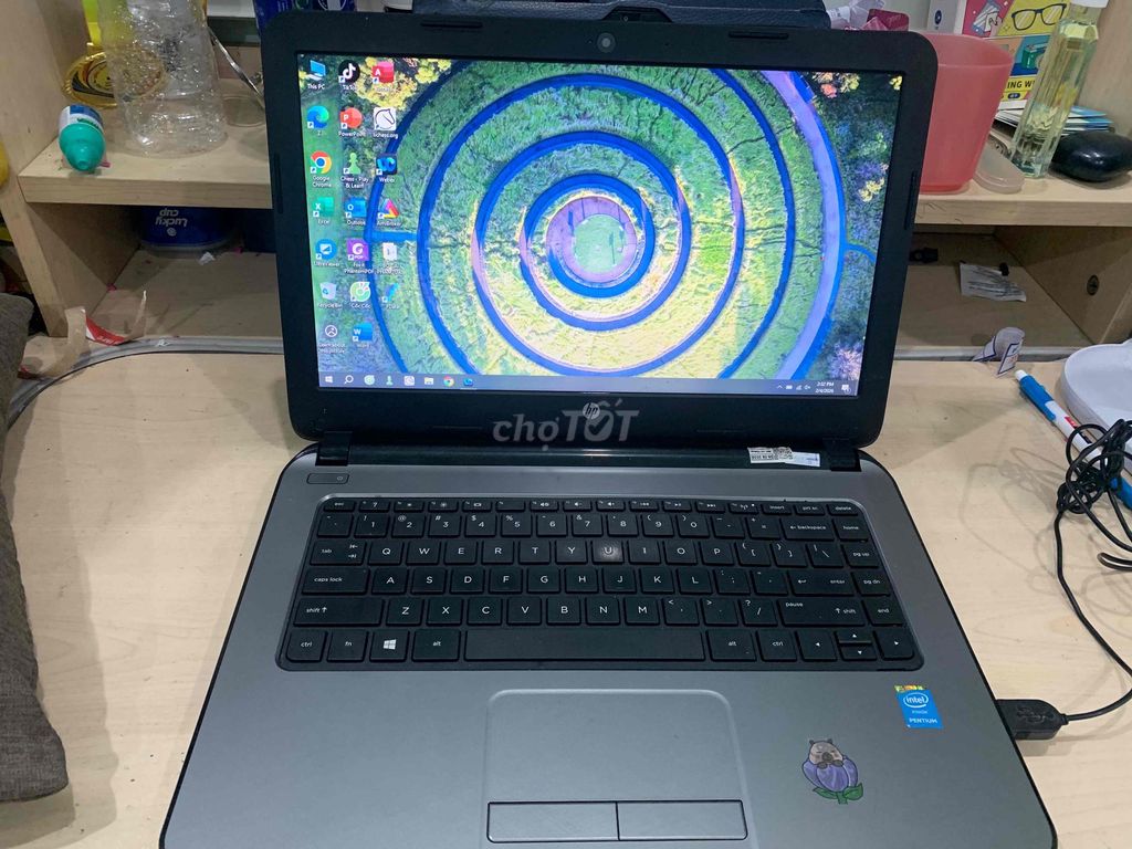 HP 14 Notebook PC Pentium N3530 4GB. Mua bán Laptop tại Quận 12 Tp Hồ Chí Minh được đăng bởi mr Hải hình 1