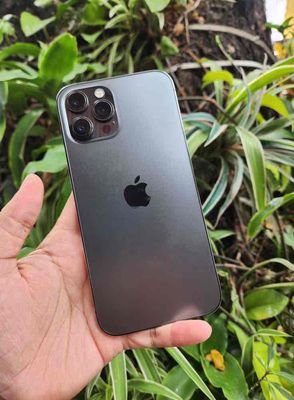 Iphone 12 pro max 256gb full chức năng Bh 12 thang. Mua bán Điện thoại tại Quận Hải Châu Đà Nẵng được đăng bởi Cửa Hàng LanDoApple