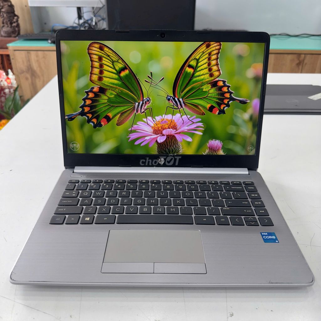HP Notebook 240 G8 i5-1135G7 14 inch 8GB/256GB. Mua bán Laptop tại Quận Tân Bình Tp Hồ Chí Minh được đăng bởi Nguyễn thế duy hình 1