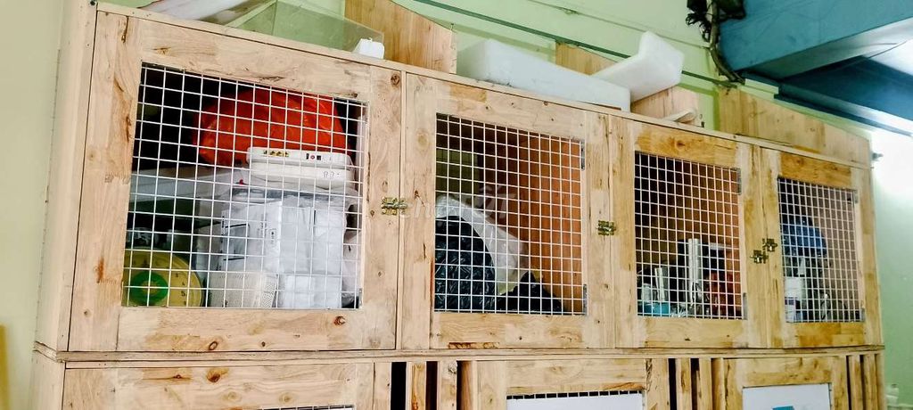 Lồng chim gỗ 4 ngăn mới. Mua bán Phụ kiện, Thức ăn, Dịch vụ tại Quận 11 Tp Hồ Chí Minh được đăng bởi Sữa tươi hình 1