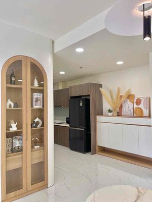 cho thuê căn hộ Diamond Alnata full nội thất