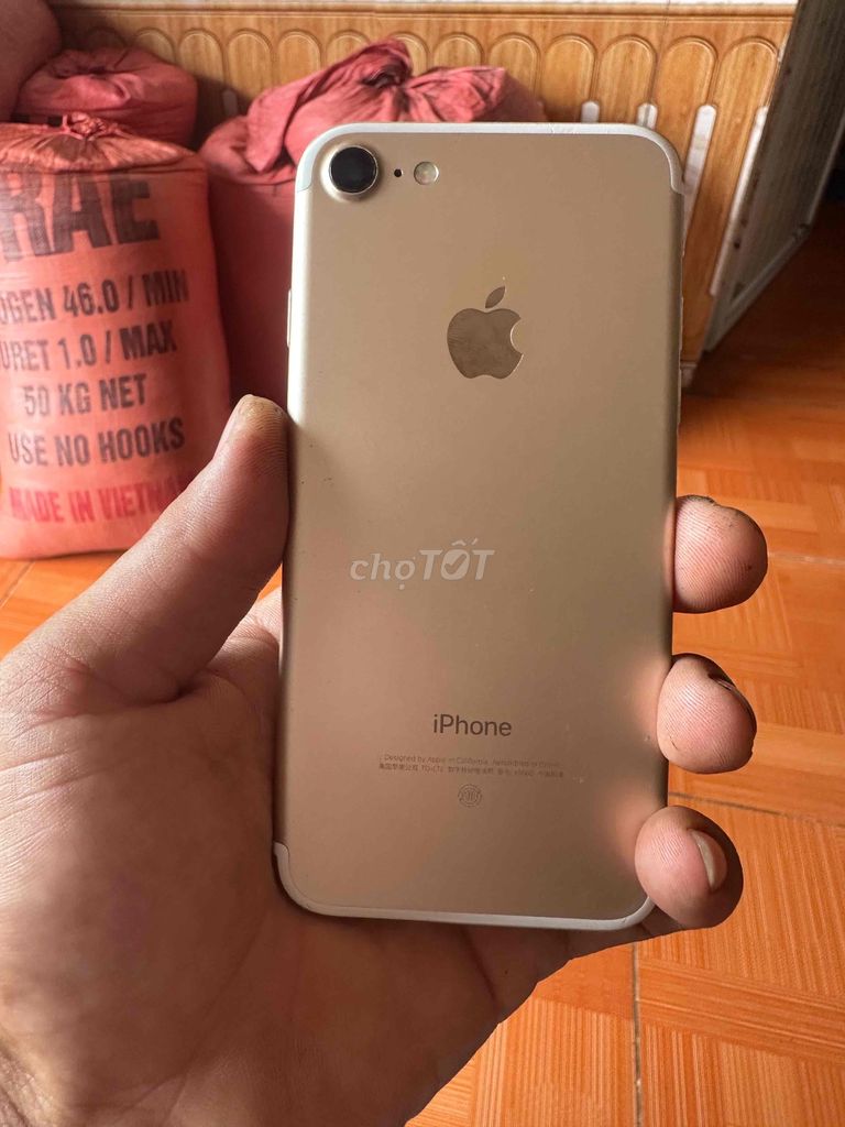 Apple iPhone 7 Vàng. Mua bán Điện thoại tại Huyện Văn Quan Lạng Sơn được đăng bởi Sadboy hình 1
