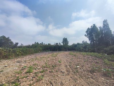 Chính chủ cho thuê 21x97m 1/ TL10 Cách TL10 700m