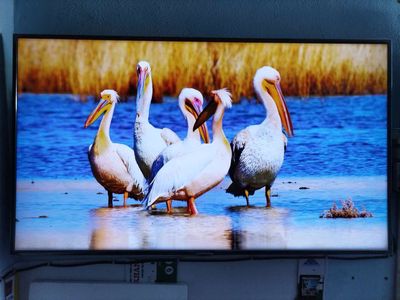 Bán tivi Samsung 55in Wifi siêu tốc ảnh đẹp 4K. Mua bán Tivi, Âm thanh tại Thành phố Thủ Đức Tp Hồ Chí Minh được đăng bởi MichaelNguyen