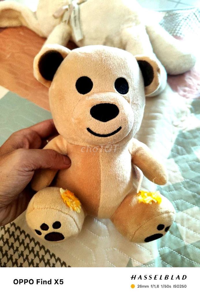 Thanh lý baby three và gấu bông toàn bộ giá tốt 👌