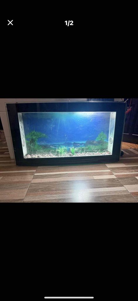 Bể cá 1m2x70cm có đèn sưởi. Mua bán Phụ kiện, Thức ăn, Dịch vụ tại Quận Tây Hồ Hà Nội được đăng bởi nguyễn tuấn anh hình 1