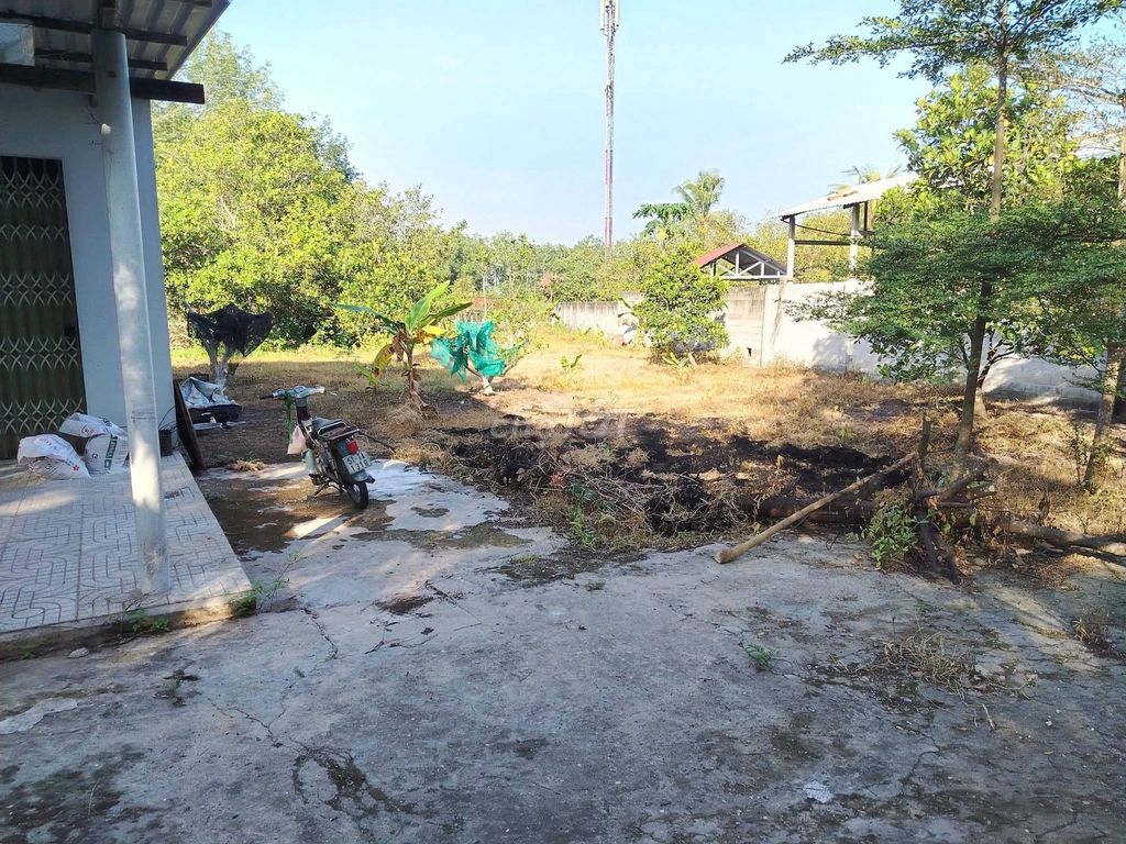 Bán đất mặt tiền Đỗ Đăng Tuyển, Củ Chi, 3362m2, giá 8.5 tỷ - ảnh 3