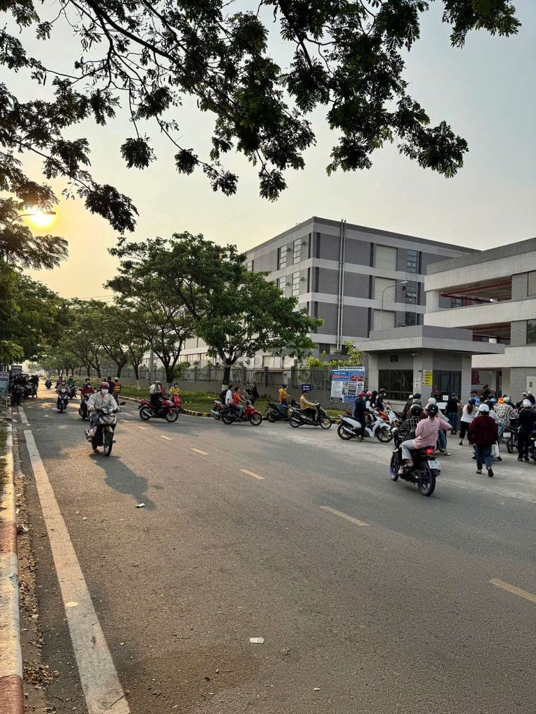 /viec-lam-huyen-long-thanh-dong-nai/123735234.htm#px=SR-special_display_ad-[PO-36][PL-default]?i=4