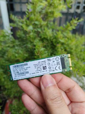 SSD M2 Sata 256gb sk 95. Mua bán Linh kiện (RAM, Card...) tại Huyện Hóc Môn Tp Hồ Chí Minh được đăng bởi Đam mê công nghệ
