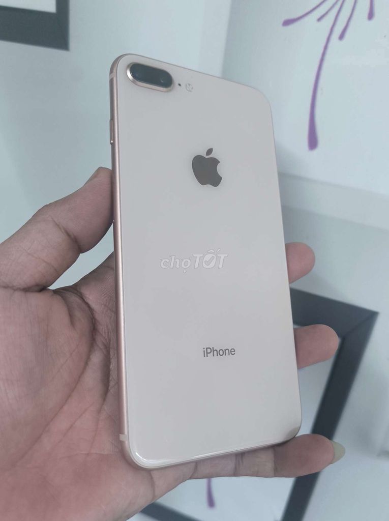 iPhone 8 Plus 64GB VN Vàng hồng. Mua bán Điện thoại tại Thành phố Vũng Tàu Bà Rịa - Vũng Tàu được đăng bởi Truong Nam hình 1