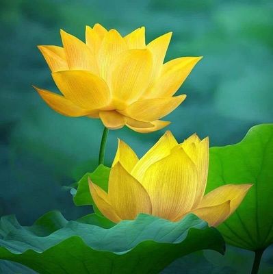CTY XÂY DỰNG VÀ BĐS VINH