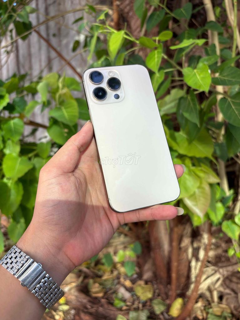 Apple iPhone 14 Pro Max 256GB Vàng. Mua bán Điện thoại tại Thành phố Vũng Tàu Bà Rịa - Vũng Tàu được đăng bởi BINHHYK  hình 1
