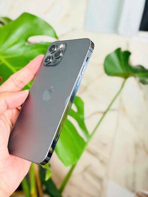 【Luat Nguyen】Apple iPhone 12 Pro Mua bán iPhone 12 Pro cũ tại Quận Ninh Kiều đẹp 99%, giá rẻ 05/2026
