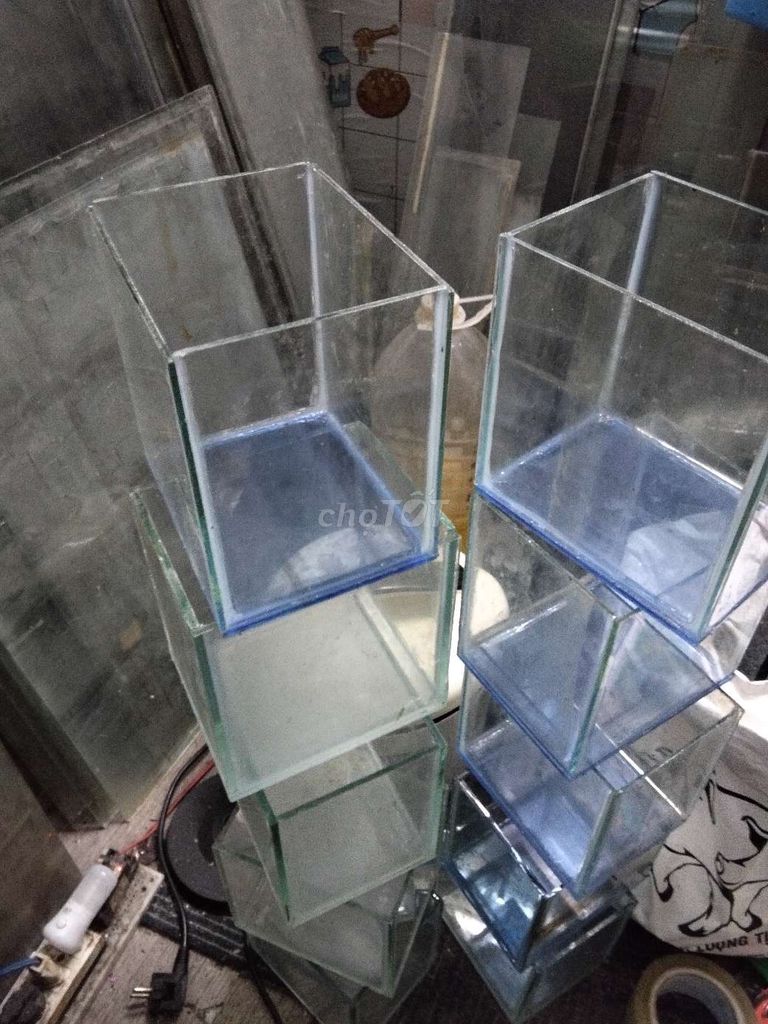 Bể cá 15x12x15cm. Mua bán Phụ kiện, Thức ăn, Dịch vụ tại Quận 8 Tp Hồ Chí Minh được đăng bởi Núi hình 1