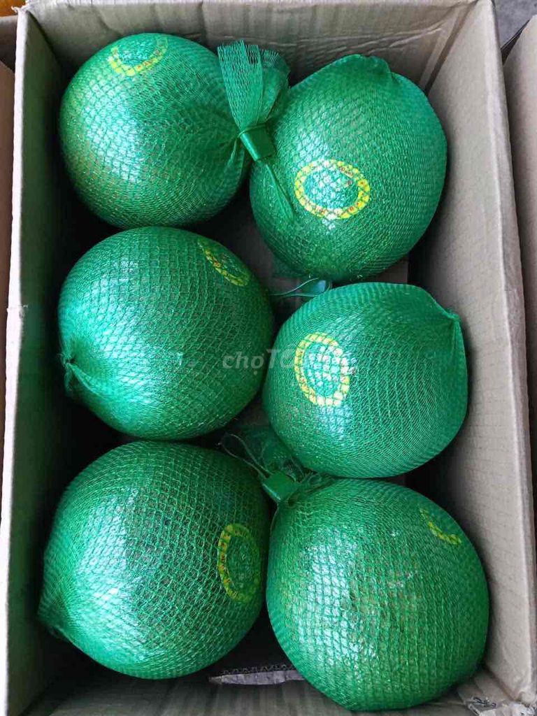 Bưởi da xanh. Mua bán Đồ ăn, thực phẩm và các loại khác tại Quận Tây Hồ Hà Nội được đăng bởi Nguyễn Giang hình 1
