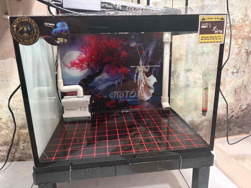 Hồ cá 40x30x30cm kèm lọc tràn, đèn 26cm. Mua bán Phụ kiện, Thức ăn, Dịch vụ tại Quận Bình Tân Tp Hồ Chí Minh được đăng bởi Chuối betta hình 1