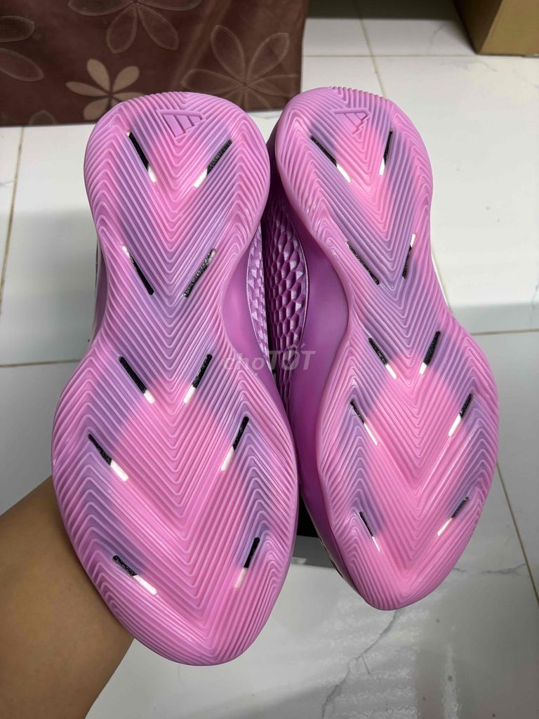 Cần thanh lý AE1 Preloved Purple Size 42 2/3