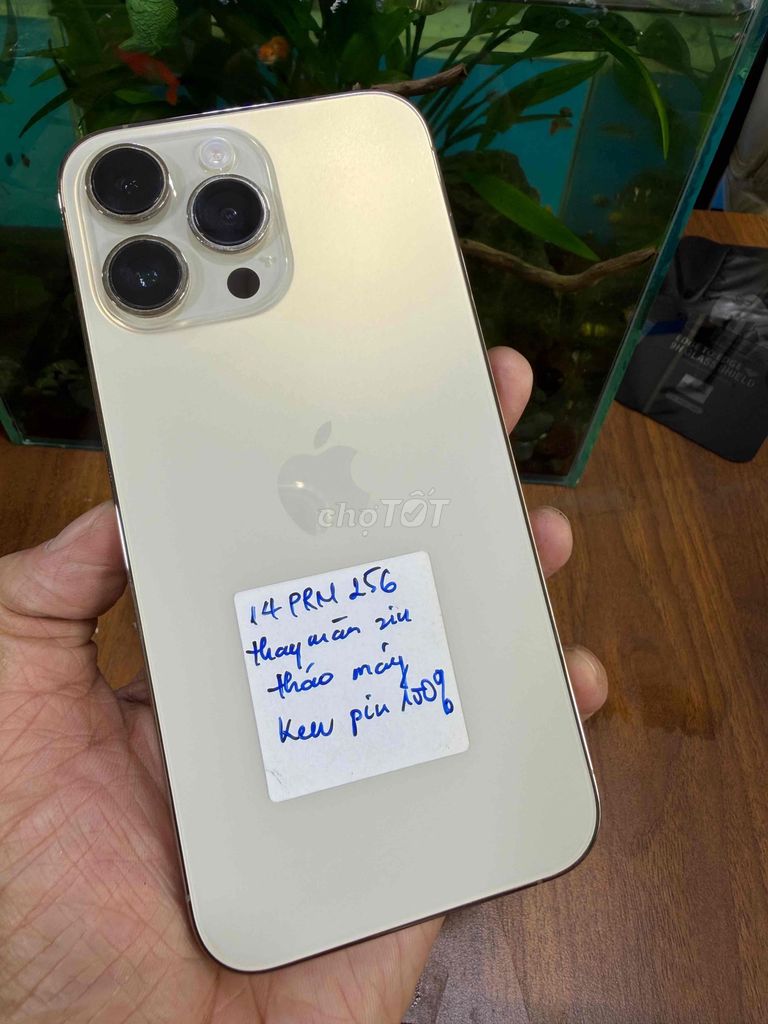 Apple iPhone 14 Pro Max 256GB Vàng Đã sử dụng. Mua bán Điện thoại tại Quận Tân Phú Tp Hồ Chí Minh được đăng bởi gia phát hình 1