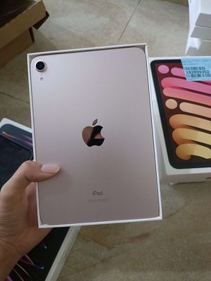 iPad Mini 6 64GB wi-fi hồng 99% sạc 3,4l Pin 100