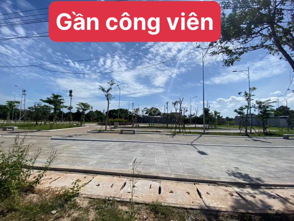 BÁN 2 LÔ LIỀN KỀ ĐƯỜNG LƯƠNG THẾ VINH, TT ĐẤT ĐỎ 234M2 GIÁ 1TY250