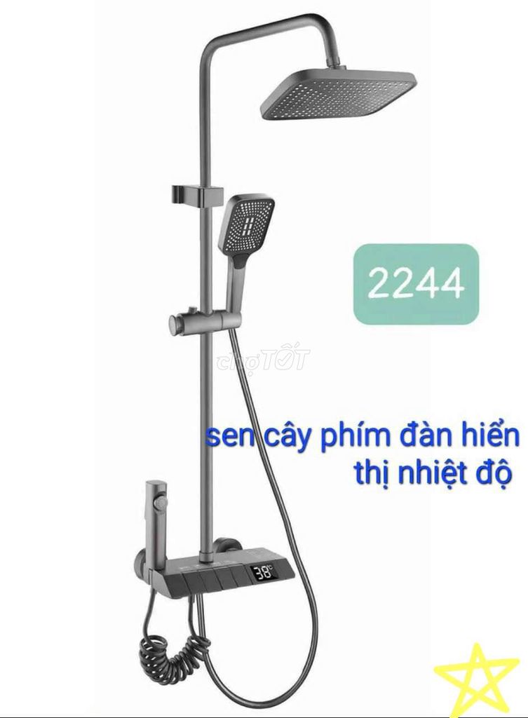 SEN CÂY PHÍM ĐÀN ĐỒNG THAU SƠN TĨNH ĐIỆN CAO CẤP