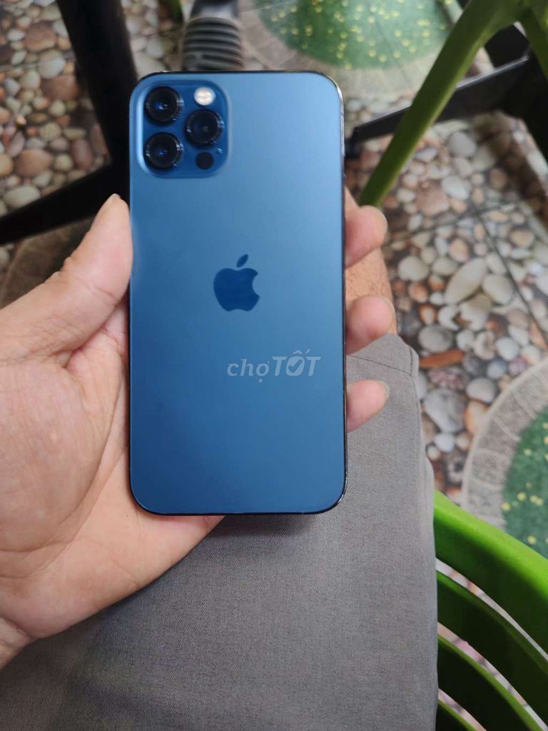 IPhone 12 Pro 256GB Xanh quốc tế zin all. Mua bán Điện thoại tại Quận Bình Tân Tp Hồ Chí Minh được đăng bởi V I N H hình 1