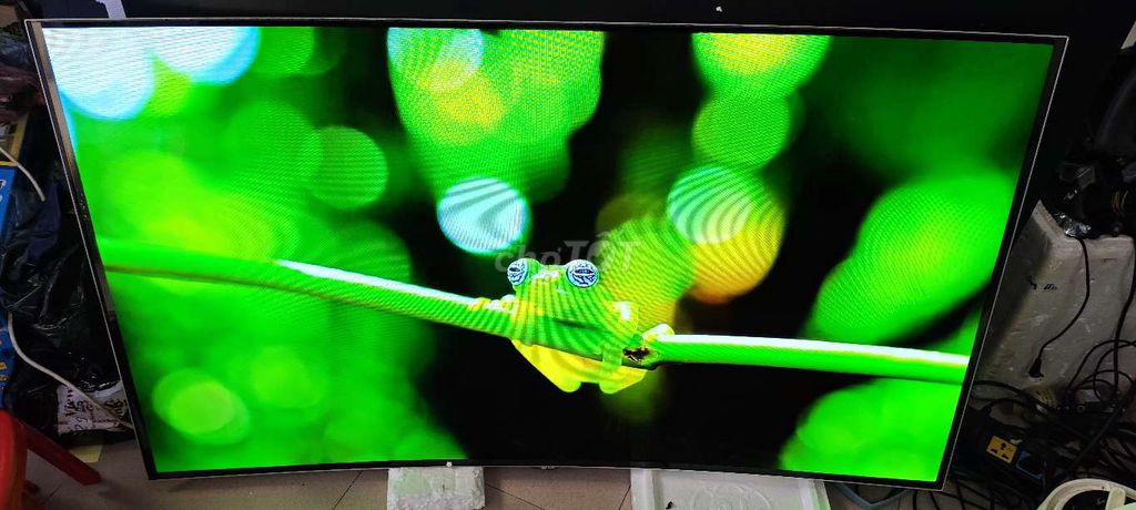 Tivi LG OLED 55 inch 2019 - Mầu đẹo. Mua bán Tivi, Âm thanh tại Quận Hai Bà Trưng Hà Nội được đăng bởi Mr Hung hình 1