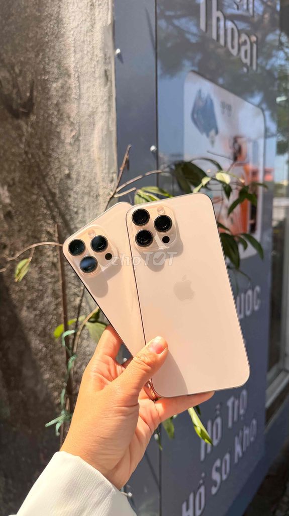 Apple iPhone 16promax 256G Vàng. Mua bán Điện thoại tại Quận Ngũ Hành Sơn Đà Nẵng được đăng bởi Tran hình 1